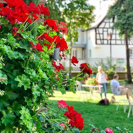 Le Manoir 2* Barr