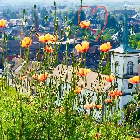 ル マノワール ホテル 2*