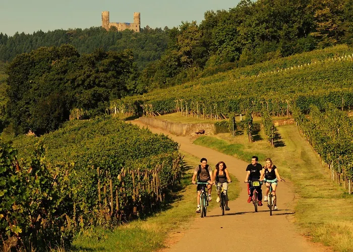 酒店 庄园酒店 2*