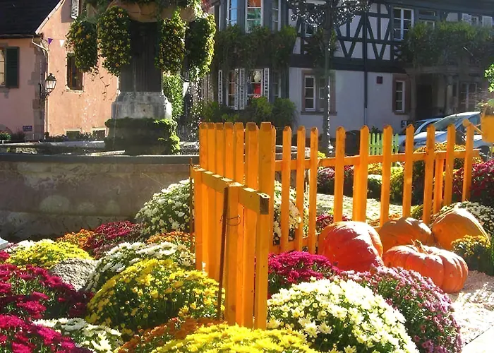 Hotell Le Manoir Barr